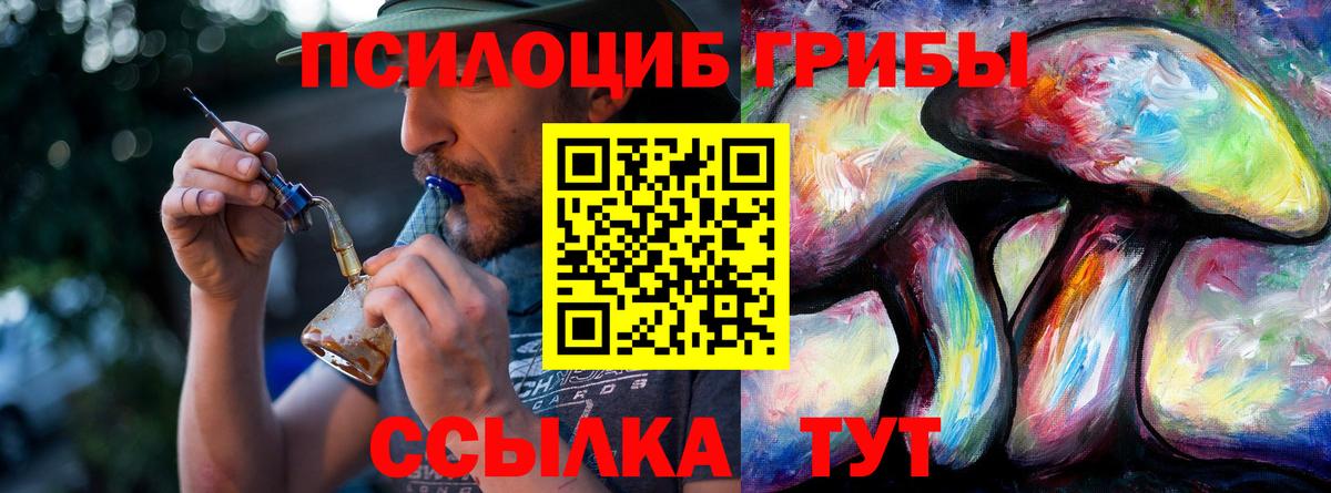 Псилоцибиновые грибы мухоморы  Галлюциногенные грибы Psilocybine cubensis  Вход с VPN  Междуреченск 